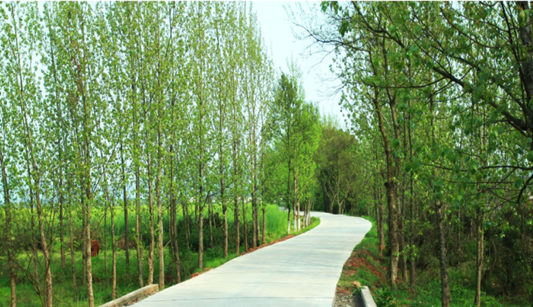 江西信豐縣工業(yè)園科之光路（緯二路）新建大道、產(chǎn)業(yè)大道北段一期工程設(shè)計(jì)、施工總承包（EPC）